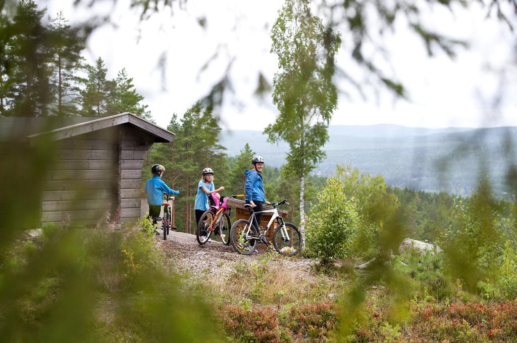 First Camp Lugnet-ฟาลัน ภายนอก รูปภาพ